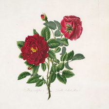 Схема вышивки «мини бук»