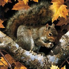 Схема вышивки «белочка»