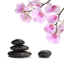 Схема вышивки «орхидея и камни»