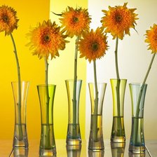 Схема вышивки «календула»