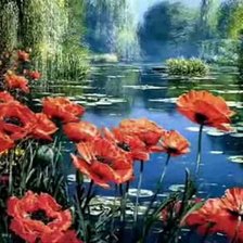 лесной пруд