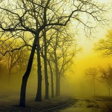 Схема вышивки «в тумане»