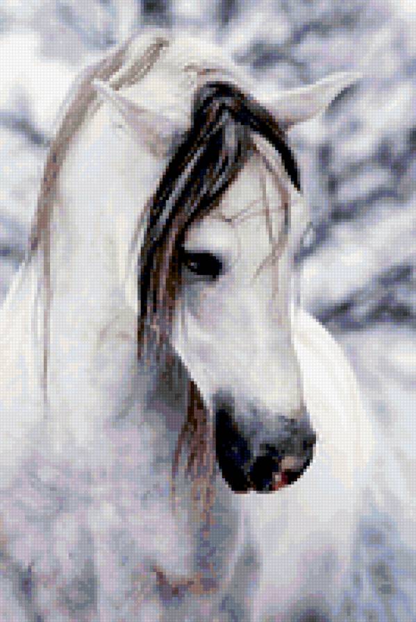 Лошадь белая - лошадь - предпросмотр