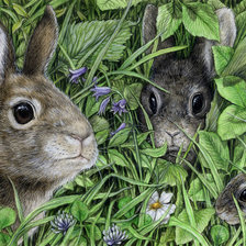 Схема вышивки «кролики»