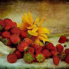 Схема вышивки «№372979»