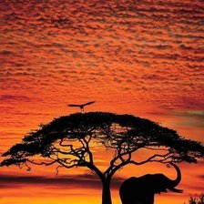 Схема вышивки «Слон»