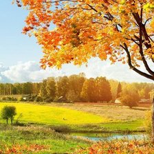 Схема вышивки «Прекрасный день»