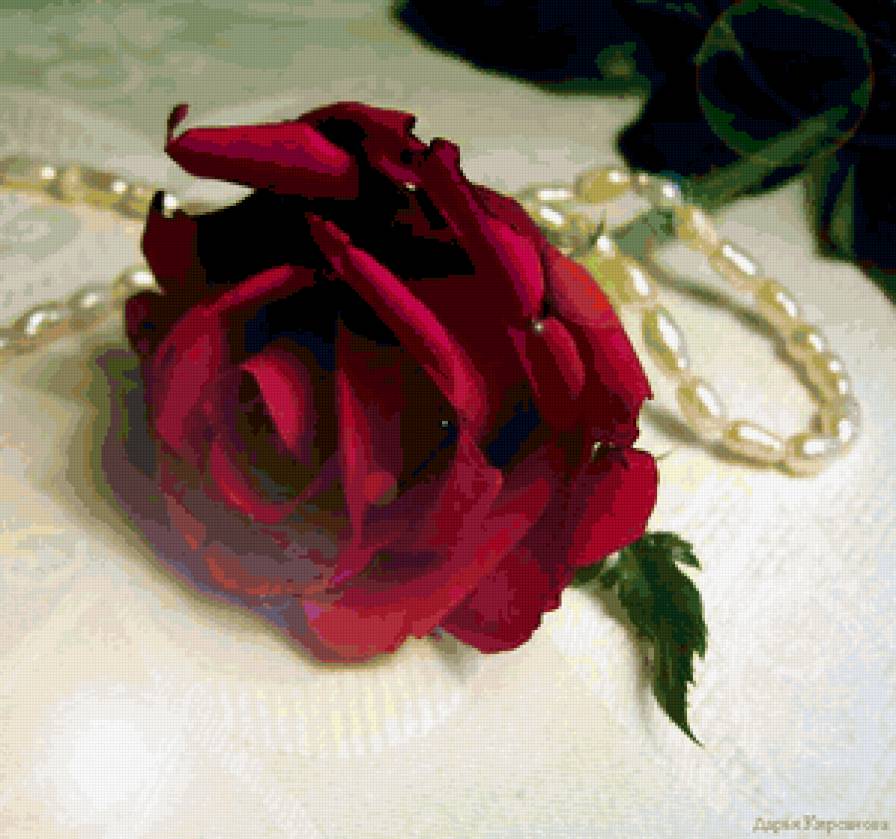 №373010 - цветок, роза, жемчуг - предпросмотр