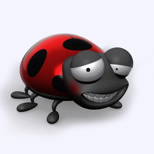 божья коровка