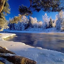 Схема вышивки «№373122»