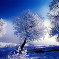 Схема вышивки «№373124»