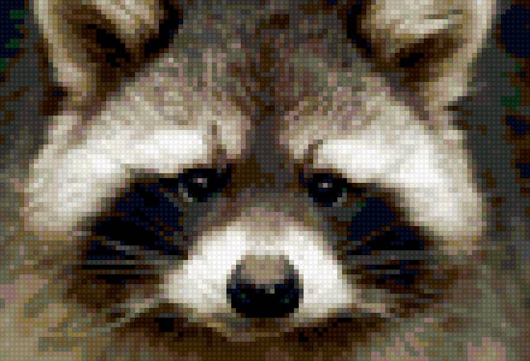 енотик - предпросмотр