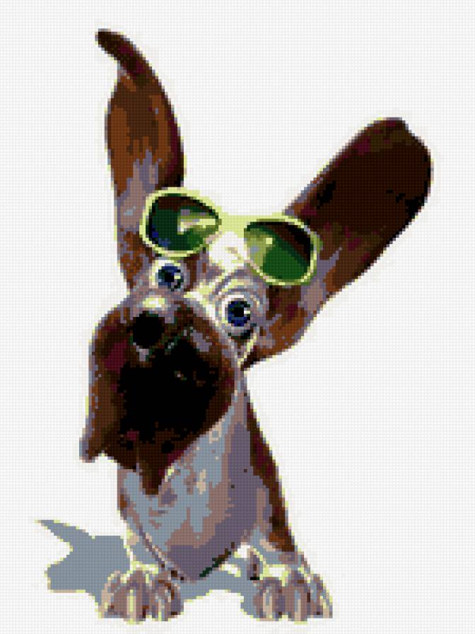 в очках - предпросмотр