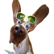 Схема вышивки «в очках»