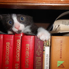 Схема вышивки «серж»