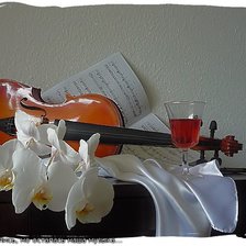 Схема вышивки «№373270»