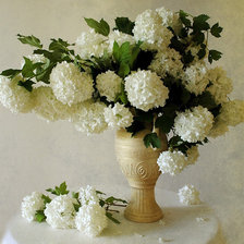 Схема вышивки «№373398»