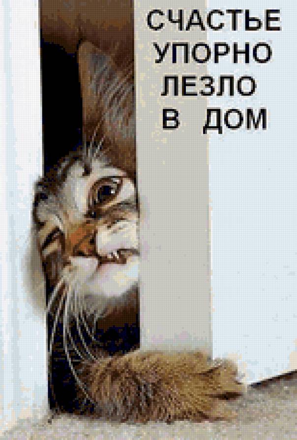 счастье))) - животные, коты - предпросмотр