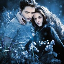 Схема вышивки «сага»