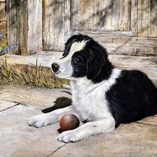 Схема вышивки «собака»