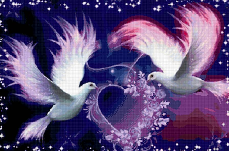 Голуби - любовь, птицы, небо, голуби - предпросмотр