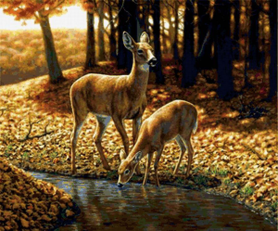 №373844 - предпросмотр