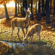 Схема вышивки «№373844»