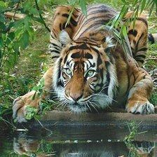 Схема вышивки «№373865»