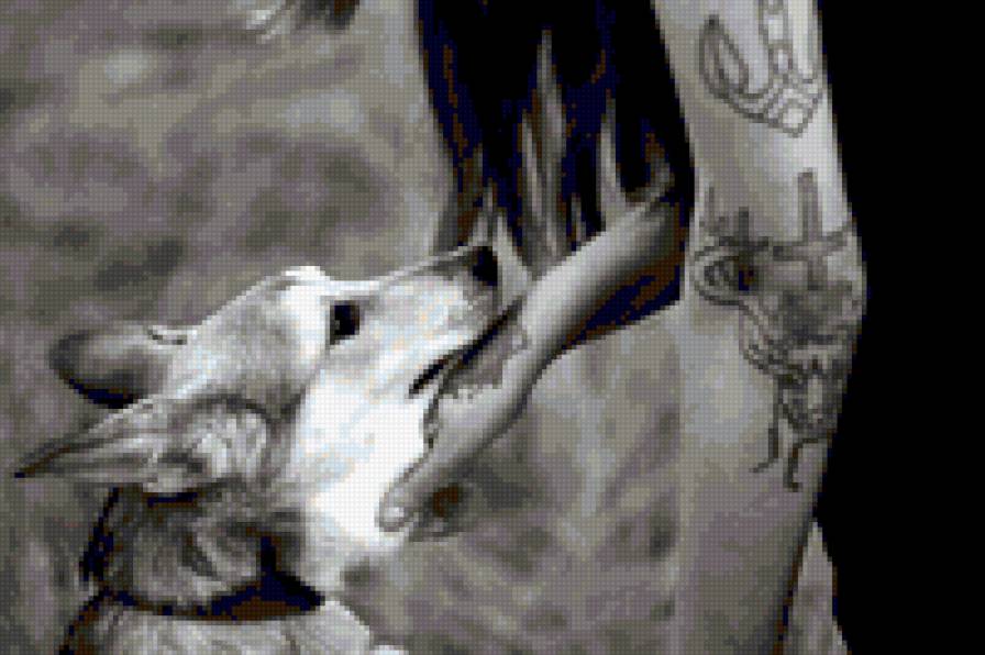 Айси - предпросмотр