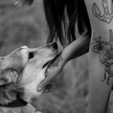 Схема вышивки «Айси»