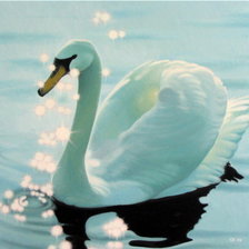 Схема вышивки «№373965»