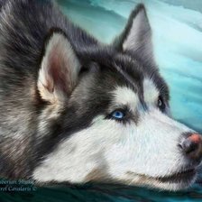 Схема вышивки «Собака»