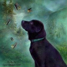 Схема вышивки «Собака»