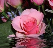 Схема вышивки «№374201»