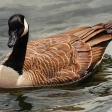 Схема вышивки «№374341»