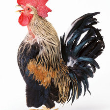 Схема вышивки «№374388»