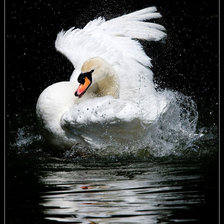 Схема вышивки «№374390»