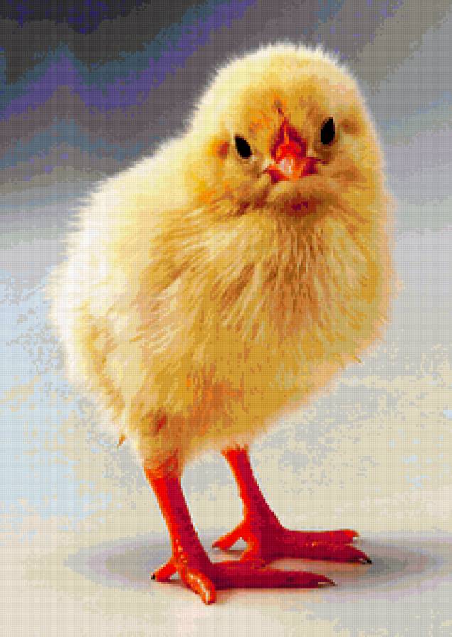 №374391 - предпросмотр