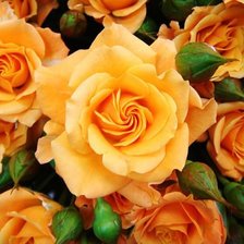 Схема вышивки «№374409»