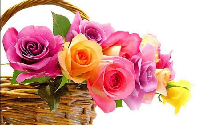 №374418 - оригинал