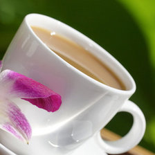 Схема вышивки «нежный кофе»