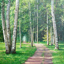 Схема вышивки «лесная тропа»