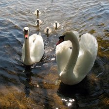 Схема вышивки «№374776»