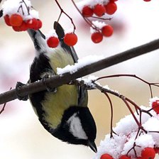 Схема вышивки «№374780»