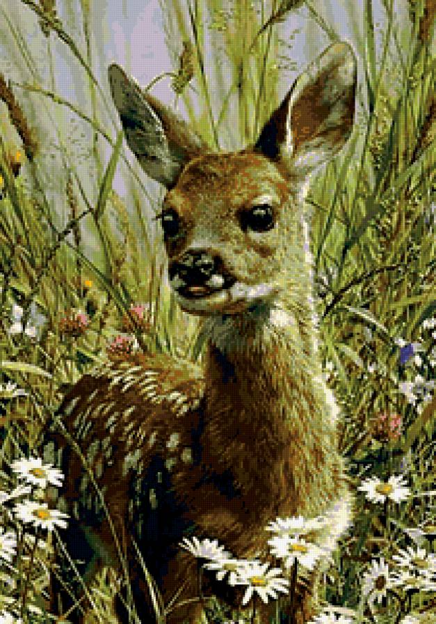 олененок - предпросмотр