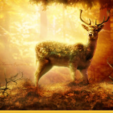 Схема вышивки «Олень в лесу»