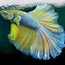 Схема вышивки «№375203»