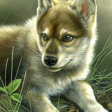 Схема вышивки «Волчонок»