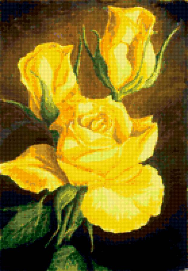 Желтые розы. - розы, цветы, роза - предпросмотр