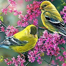 Схема вышивки «Птички на ветке»